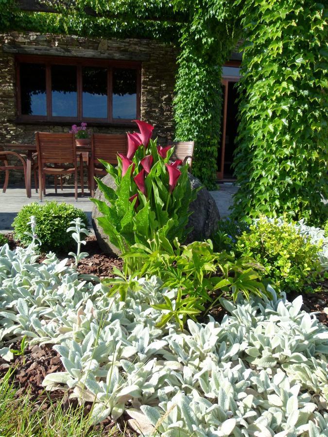 Hadleigh Boutique Lodge Tamahere Exterior photo
